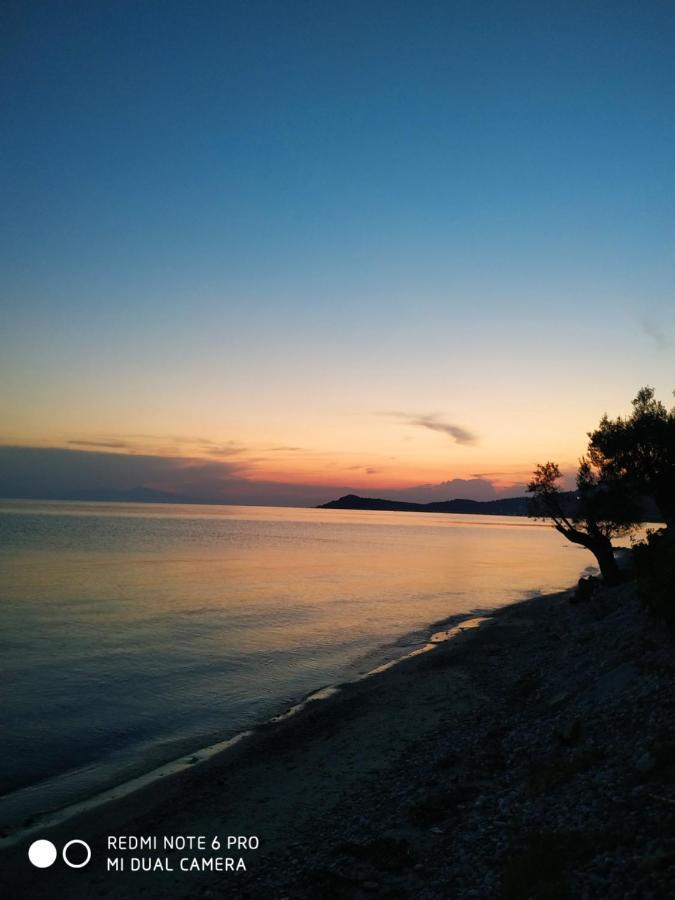 Villa Nadia Νέα Σκιώνη Εξωτερικό φωτογραφία