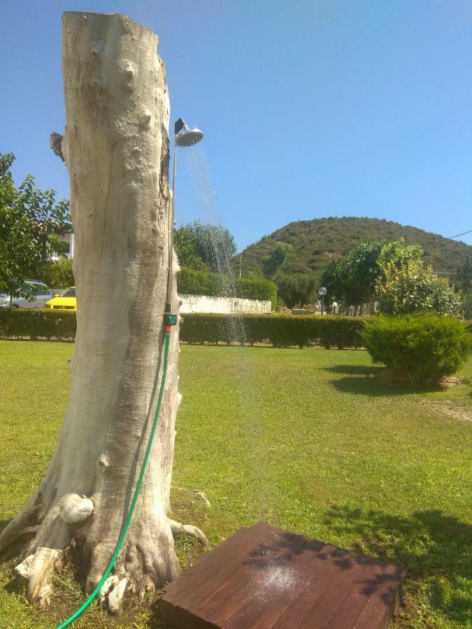 Villa Nadia Νέα Σκιώνη Εξωτερικό φωτογραφία