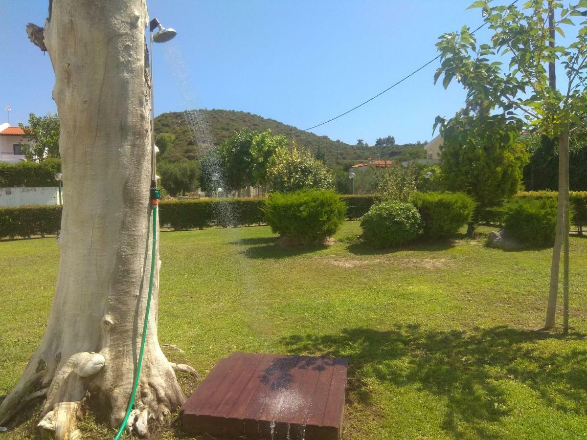Villa Nadia Νέα Σκιώνη Εξωτερικό φωτογραφία