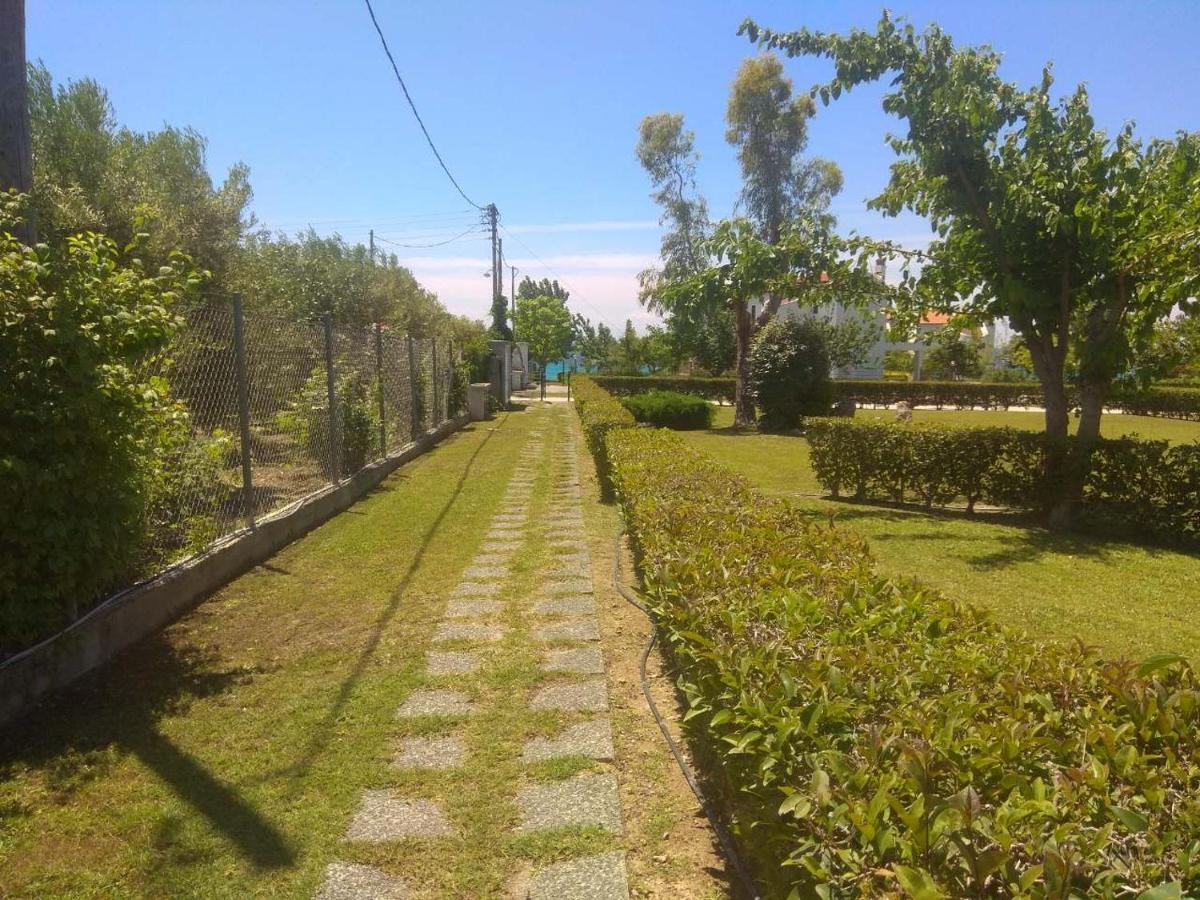 Villa Nadia Νέα Σκιώνη Εξωτερικό φωτογραφία
