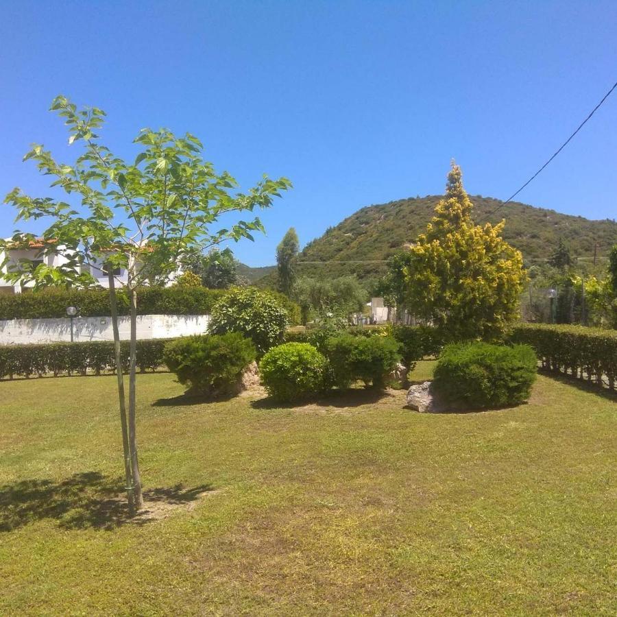Villa Nadia Νέα Σκιώνη Εξωτερικό φωτογραφία