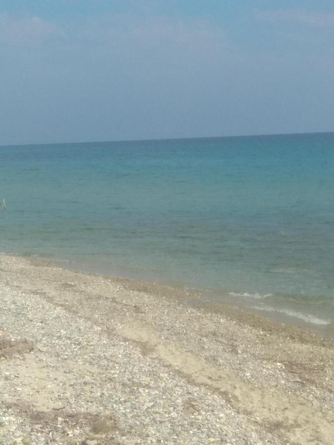 Villa Nadia Νέα Σκιώνη Εξωτερικό φωτογραφία