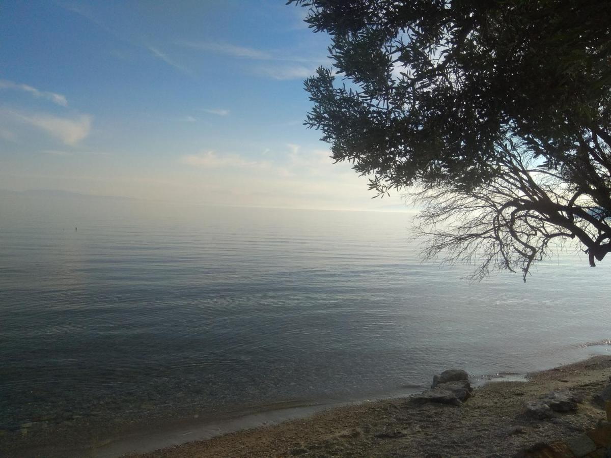 Villa Nadia Νέα Σκιώνη Εξωτερικό φωτογραφία
